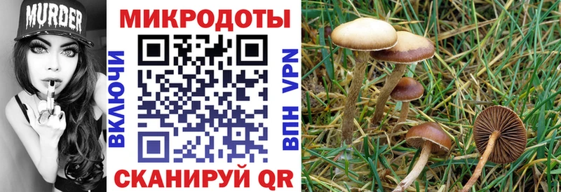 Галлюциногенные грибы Magic Shrooms  хочу   blacksprut сайт  Нерюнгри 